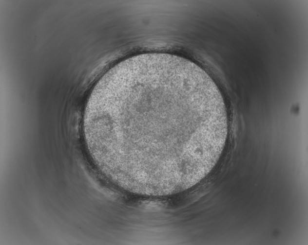 X0000115180115200912091056