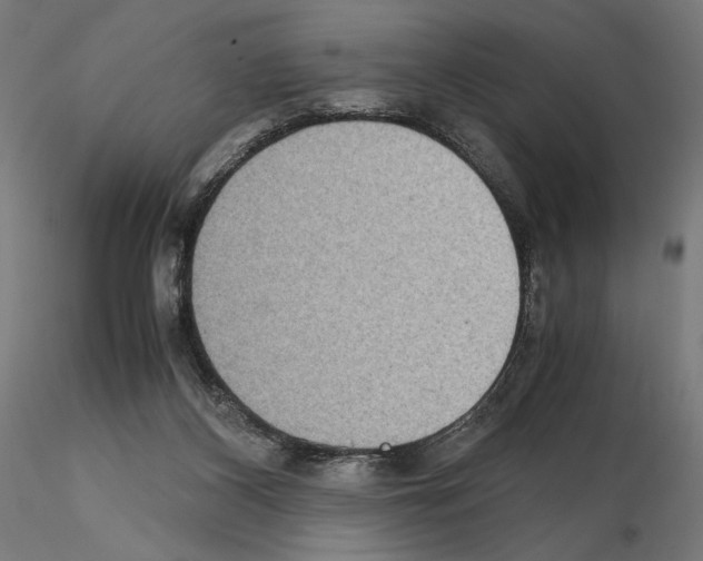 X0000115180116200912091056