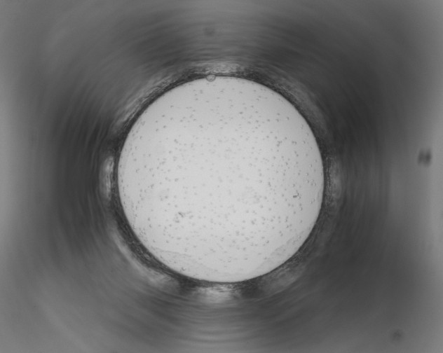 X0000115180118200912091056