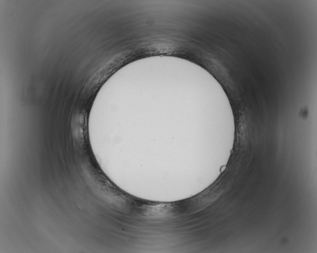 X0000115180122200912091056