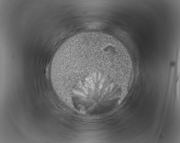 X0000115180123200912091056