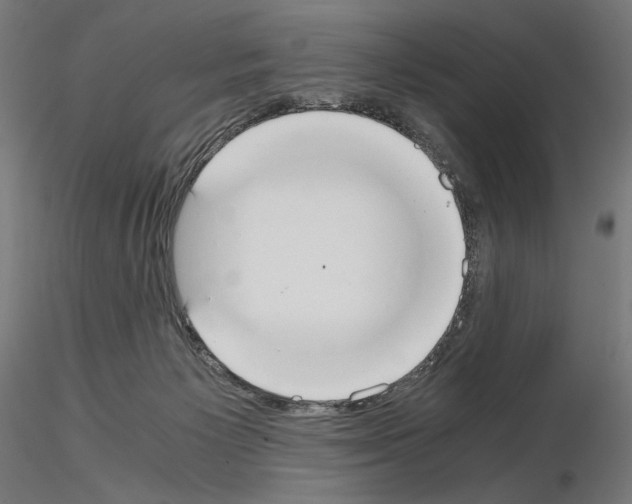 X0000115180125200912091056