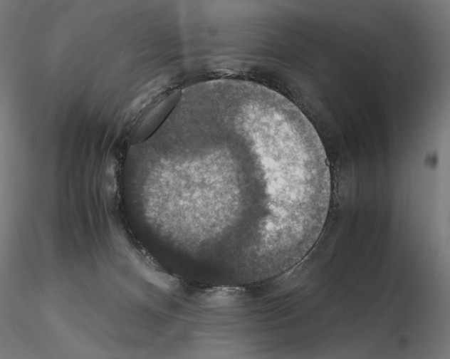 X0000115180128200912091056