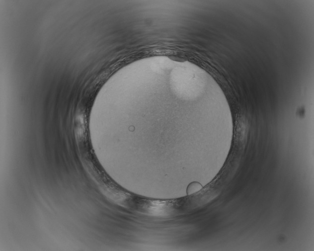 X0000115180130200912091056