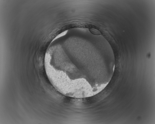 X0000115180131200912091056