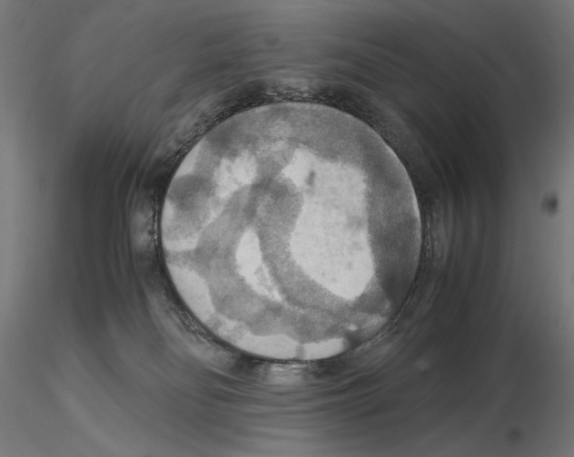 X0000115180134200912091056