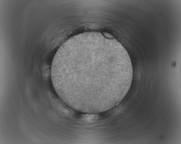 X0000115180135200912091056