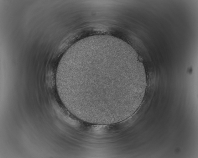 X0000115180136200912091056