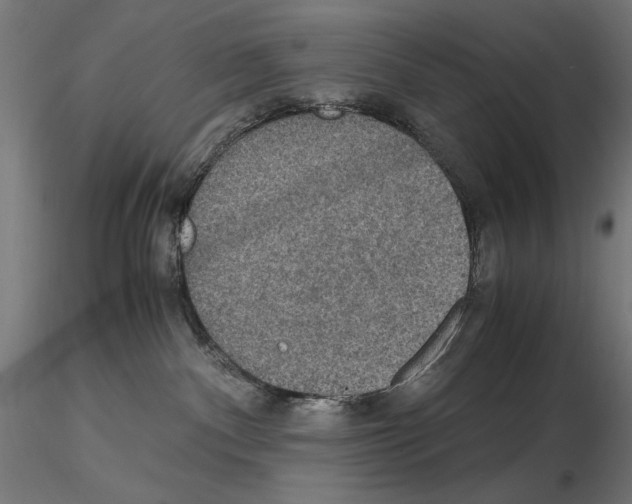 X0000115180140200912091056