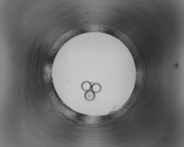 X0000115180142200912091056