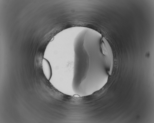 X0000115180143200912091056