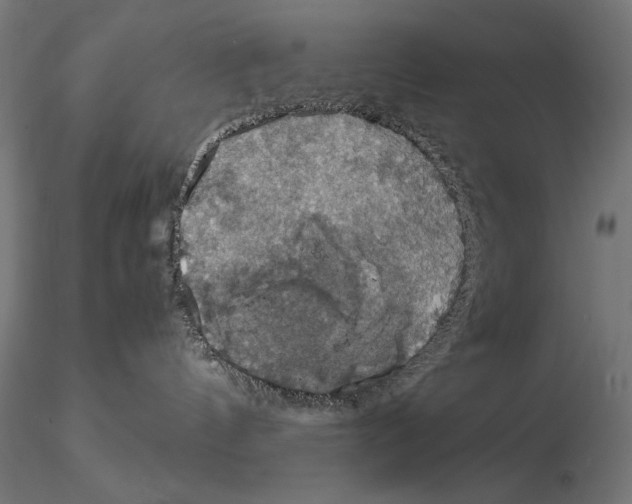 X0000115180144200912091056