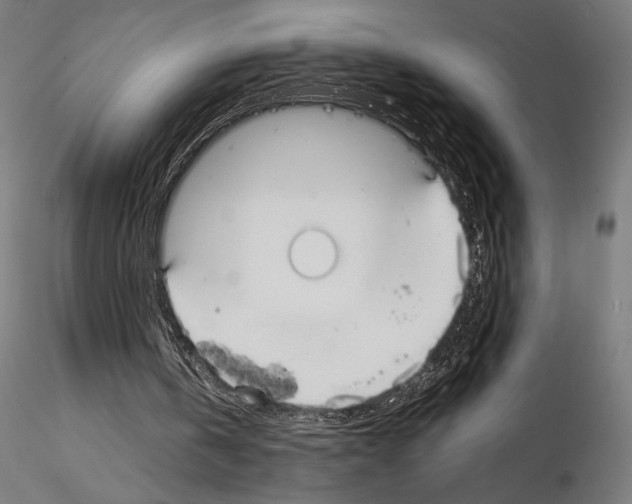 X0000115180146200912091055