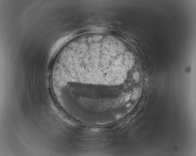 X0000115180149200912091055