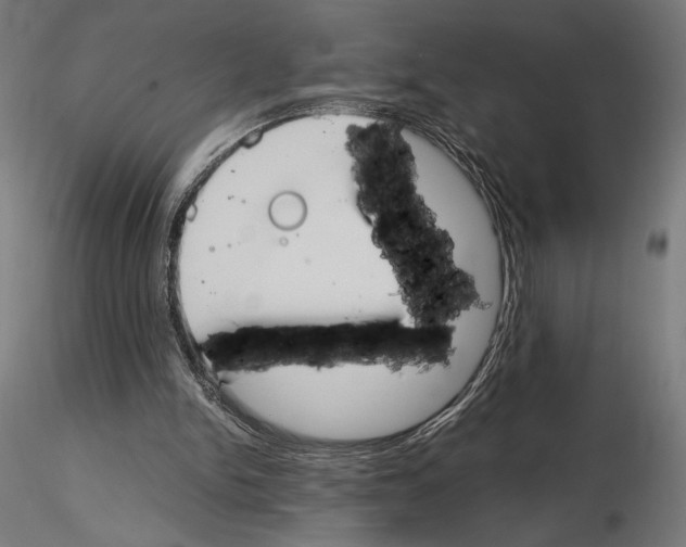 X0000115180150200912091055