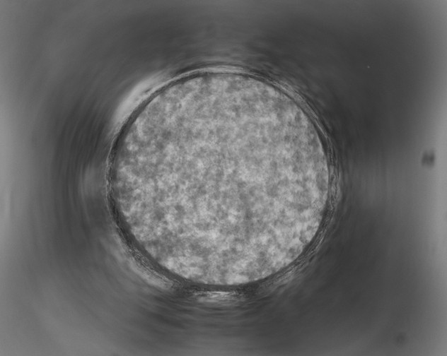 X0000115180151200912091055