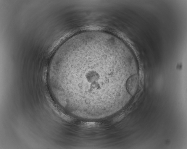 X0000115180153200912091055