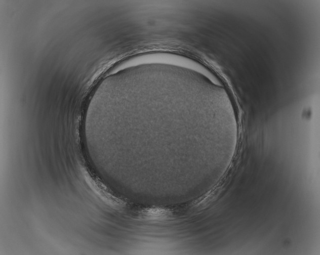 X0000115180154200912091055