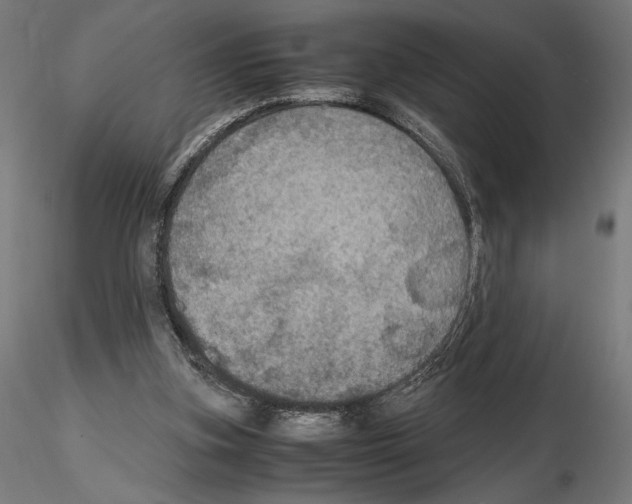 X0000115180155200912091055