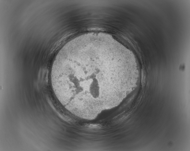 X0000115180157200912091055