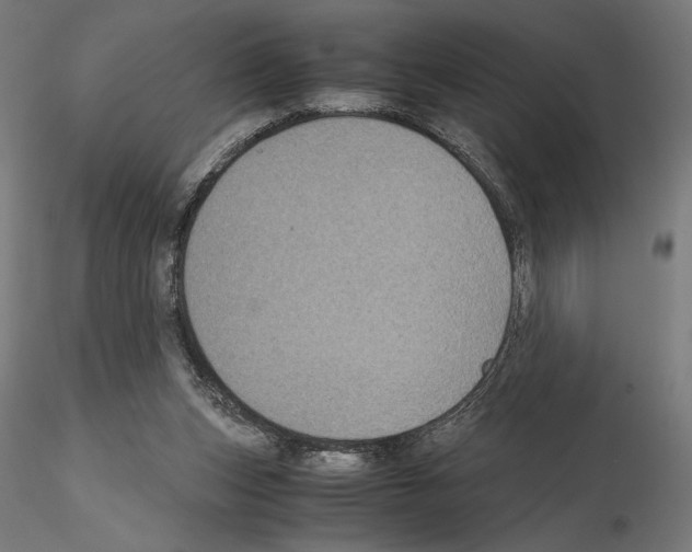 X0000115180159200912091055