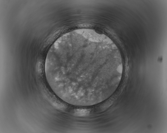 X0000115180161200912091055