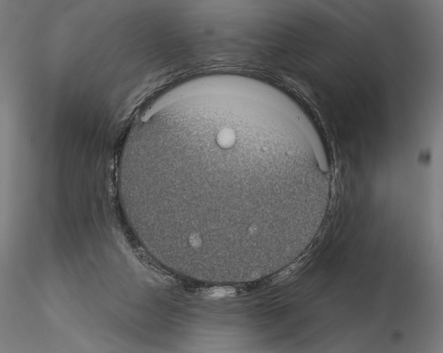 X0000115180162200912091055