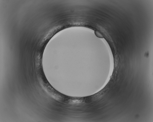 X0000115180163200912091055