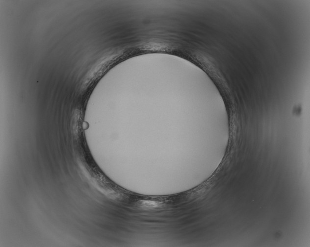 X0000115180167200912091055