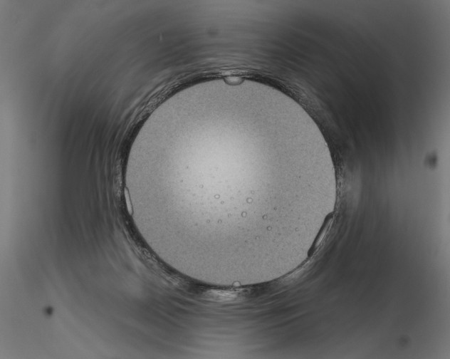 X0000115180170200912091055