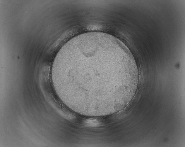 X0000115180171200912091055