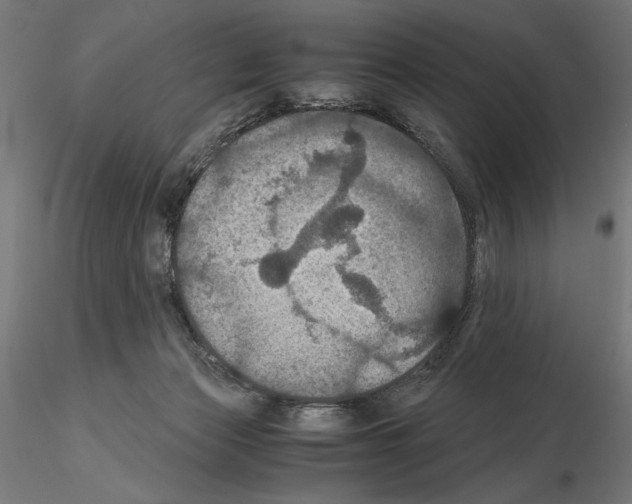 X0000115180173200912091055