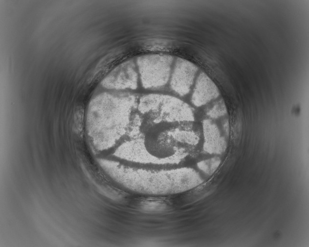 X0000115180175200912091055