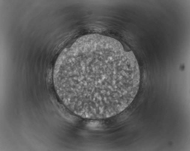 X0000115180177200912091055