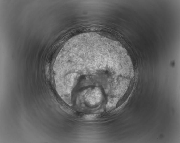 X0000115180178200912091055