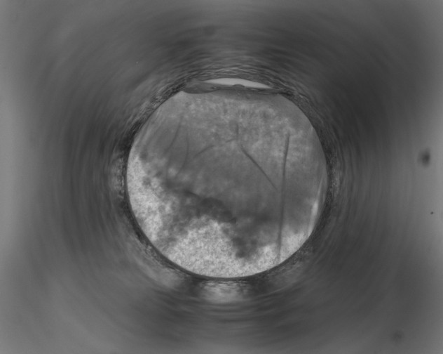 X0000115180181200912091056