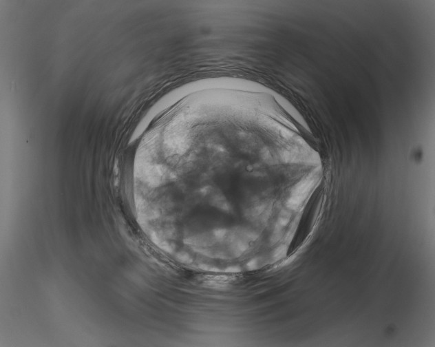 X0000115180182200912091056