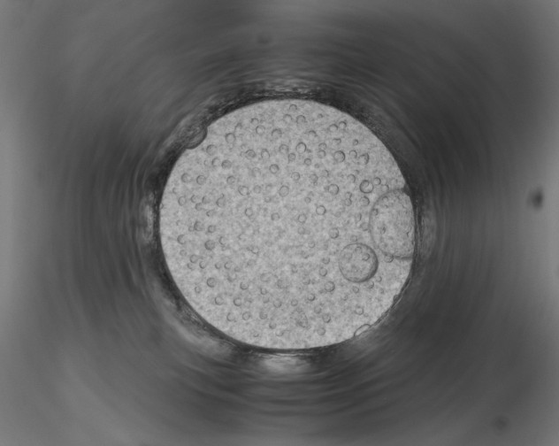 X0000115180183200912091056