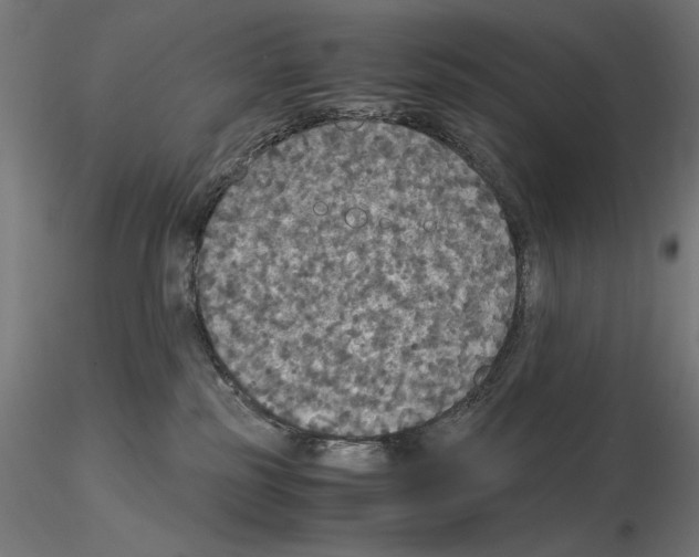 X0000115180185200912091056