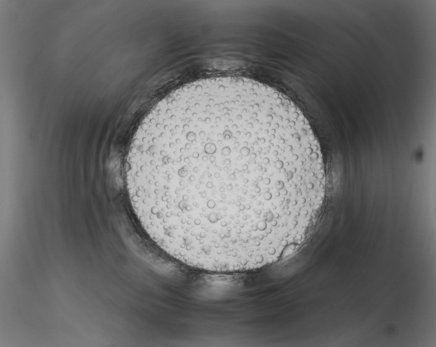 X0000115180187200912091056