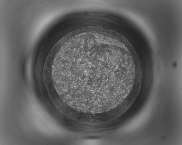 X0000115180189200912091056