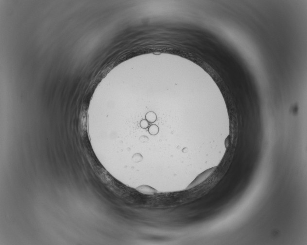 X0000115180190200912091056