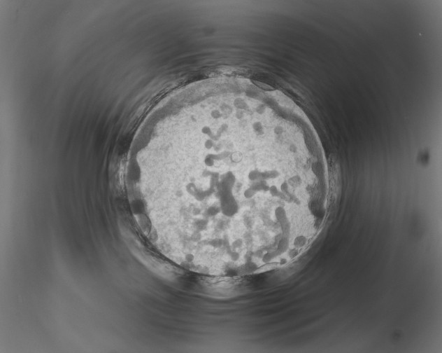 X0000115180191200912091056