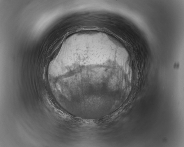 X0000115180194200912091055