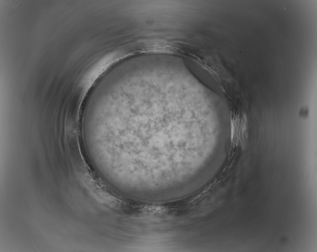 X0000115180195200912091055