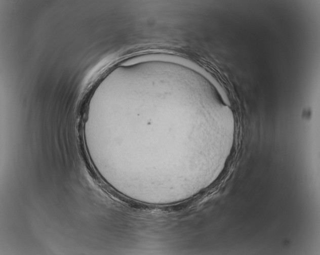 X0000115180197200912091055