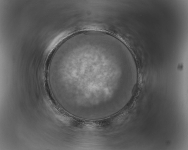 X0000115180199200912091055