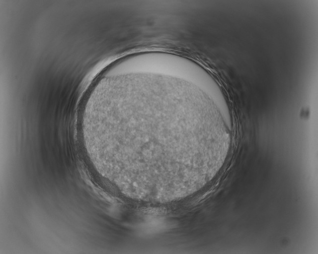 X0000115180200200912091055