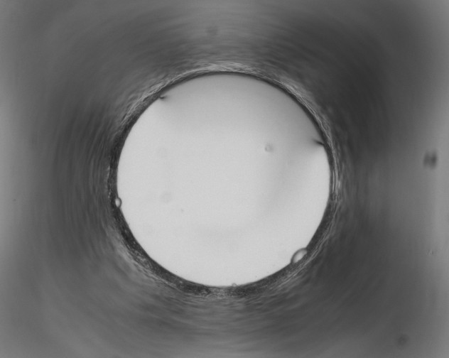 X0000115180201200912091055