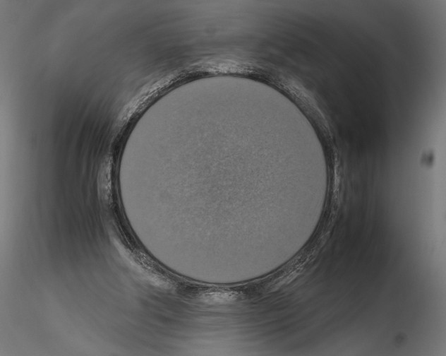 X0000115180202200912091055